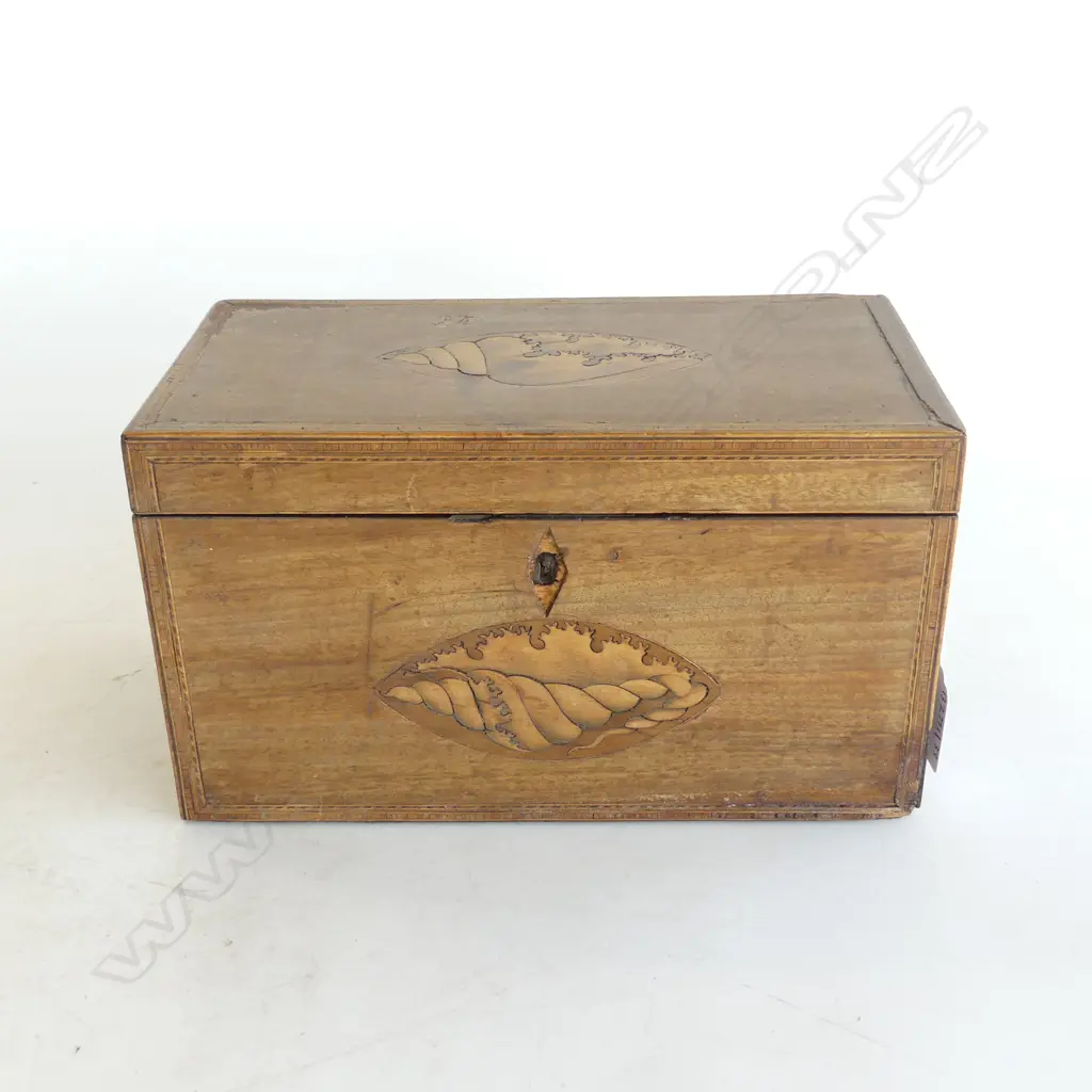 SHERATON SHELL INLAID TEA CADDY L230MM H130MM Image 1++