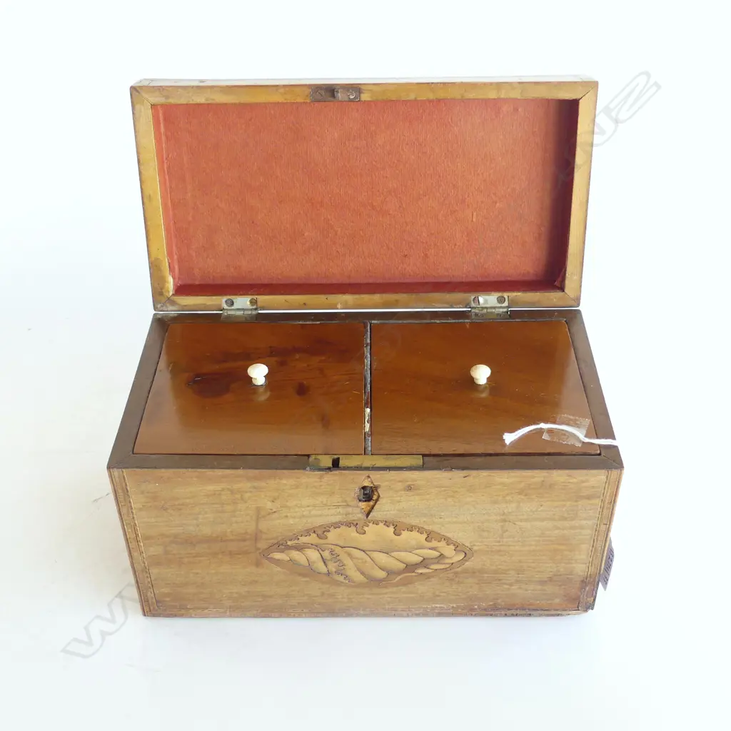 SHERATON SHELL INLAID TEA CADDY L230MM H130MM Image 1++