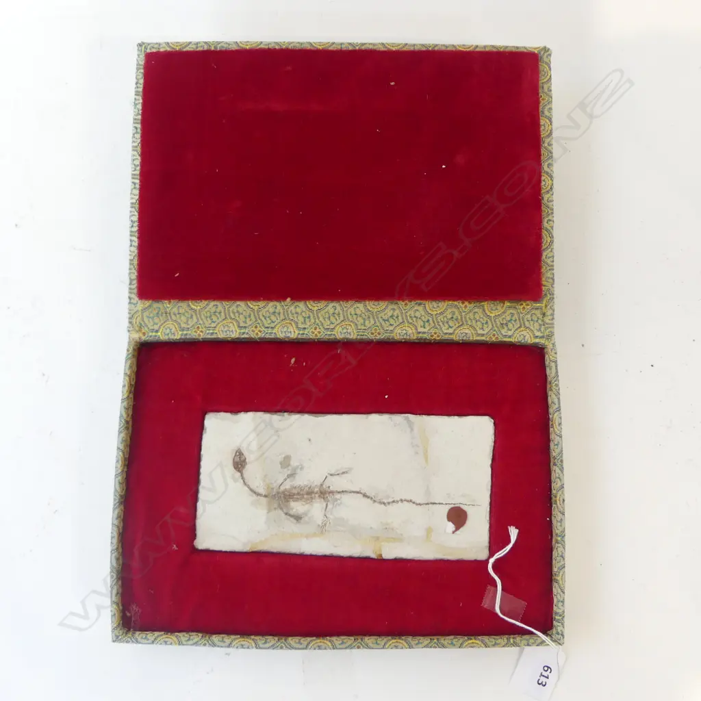 '150,000,000' year old FISH (LYCOPTERA) FOSSIL IN BOX Image 1++