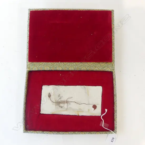 '150,000,000' year old FISH (LYCOPTERA) FOSSIL IN BOX