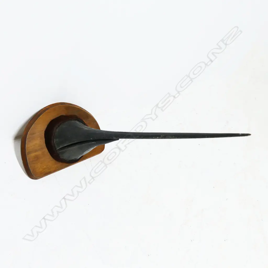 MOUNTED MARLIN HORN L.750mm Image 1++
