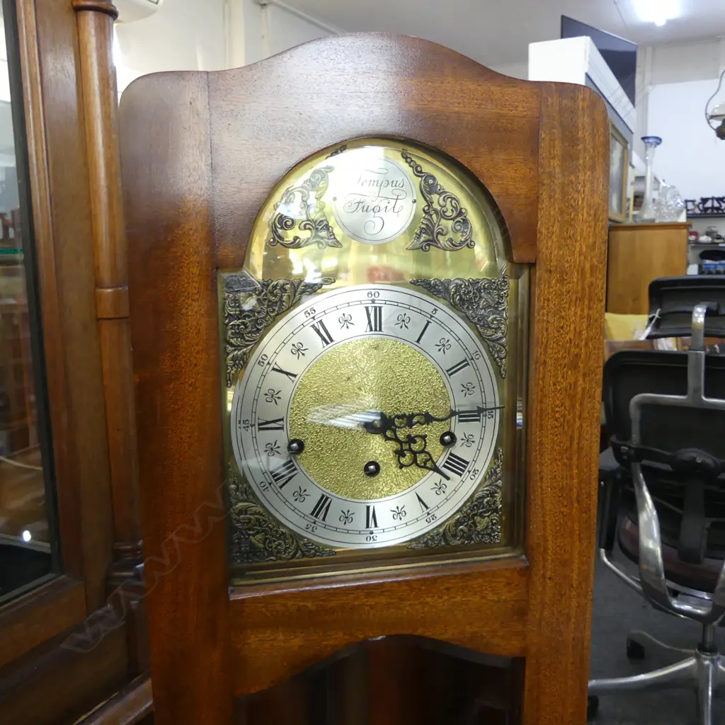 'TEMPUS FUGIT' GRAND DAUGHTER CLOCK H.1375mm Image 1++