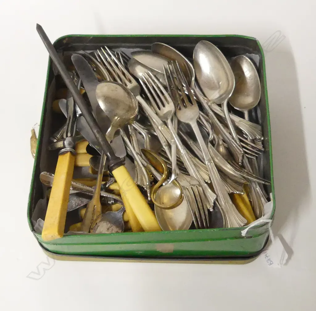 ASST. CUTLERY INCL. IVORINE 'BONE' HANDLED KNIVES & FISH SET Image 1++
