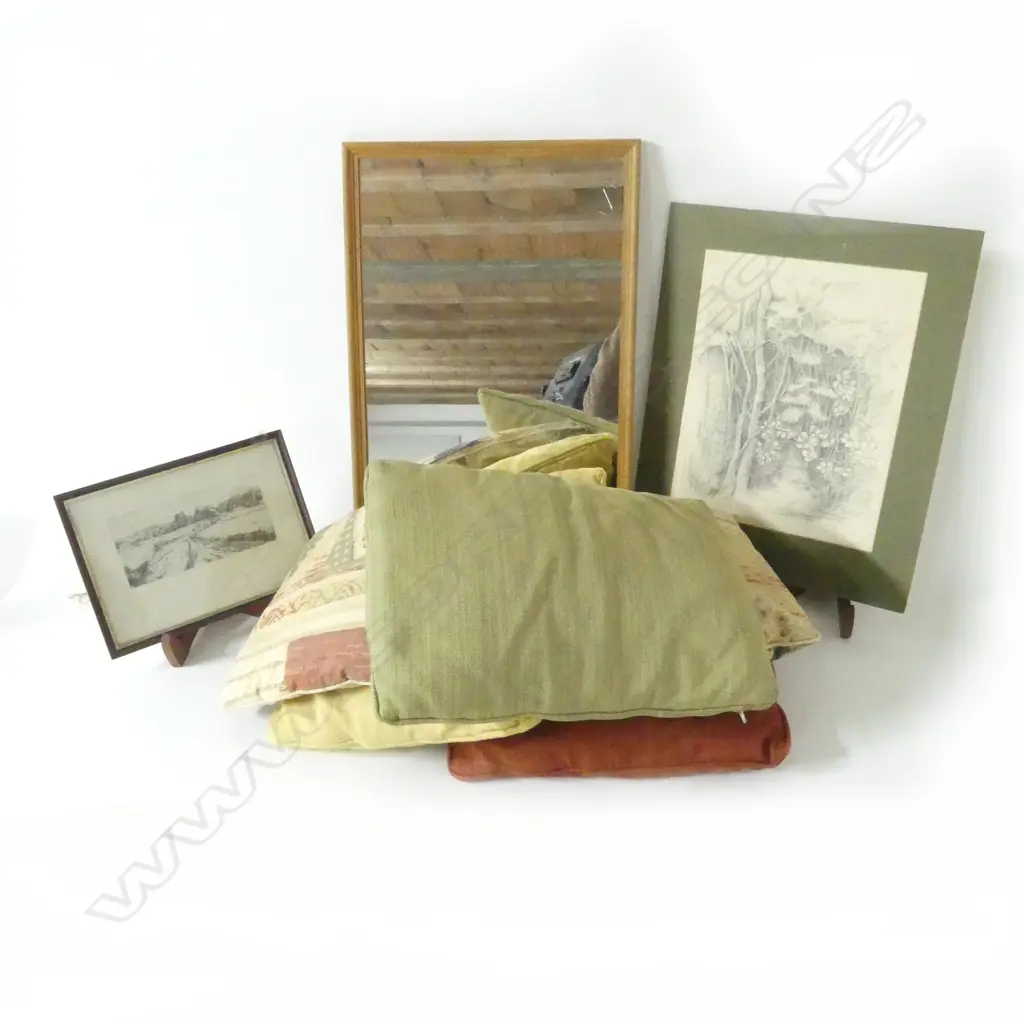 BOX LOT CUSHIONS & 2 ETCHINGS Image 1++