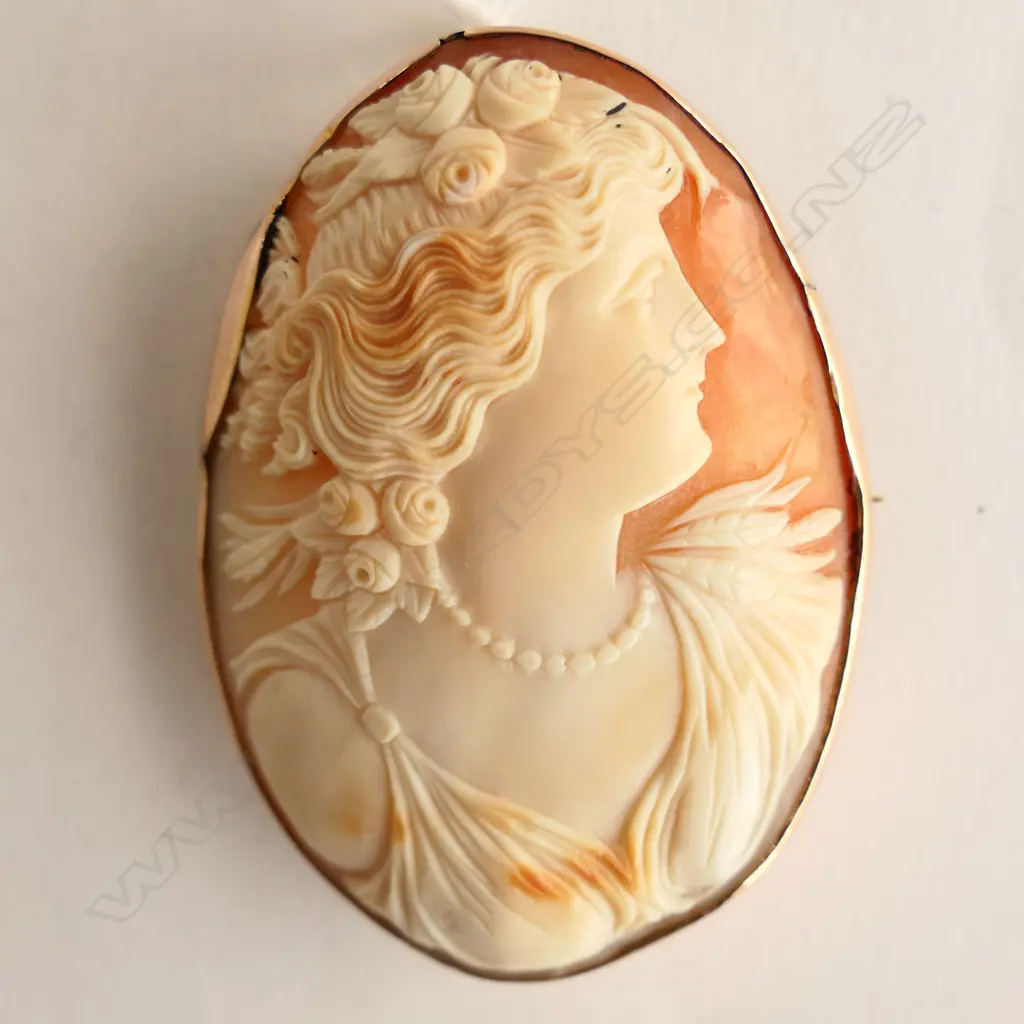 LG 9CT CAMEO 60x45mm 21.7gms Image 1++