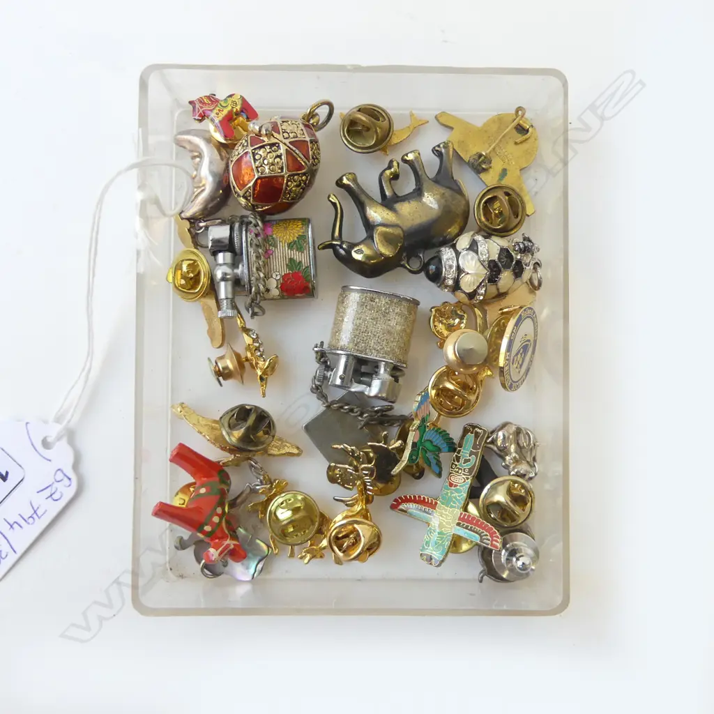 ASST. CHARMS & PINS ETC Image 1++