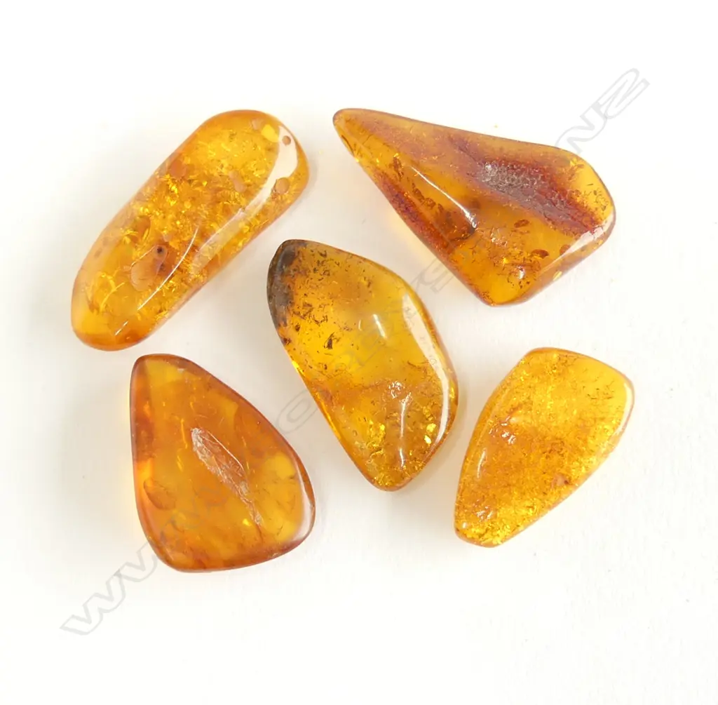 5 NATURAL BALTIC AMBER PCES Image 1++