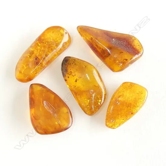 5 NATURAL BALTIC AMBER PCES