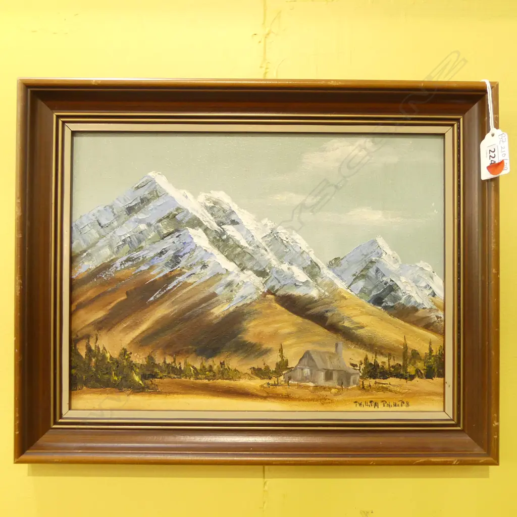 (25156) PHILLIPA PHILLIPS 'SOUTHERN ALPS' OIL ON BOARD 215x290mm Image 1++