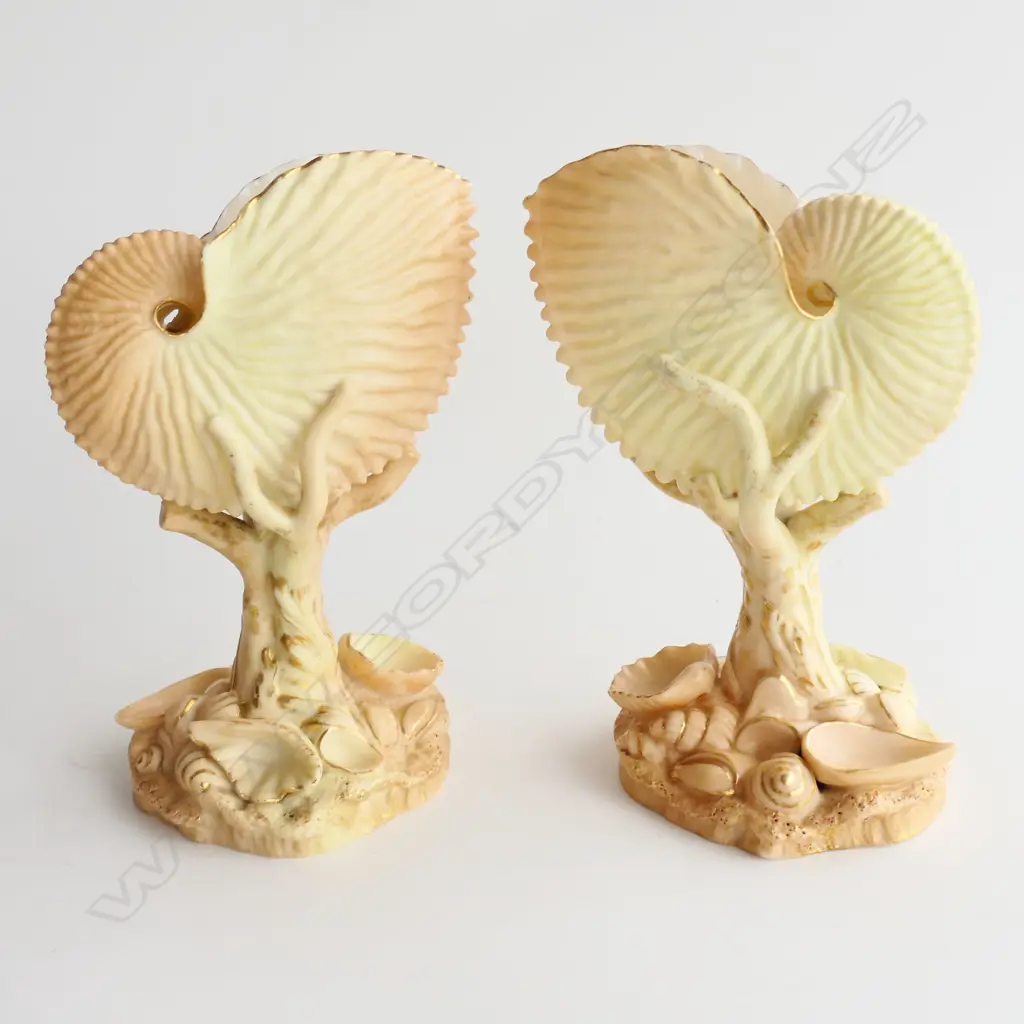 PR ROYAL WORCESTER NAUTILUS SHELLS w GOLD HI-LIGHTS H.160mm Image 1++