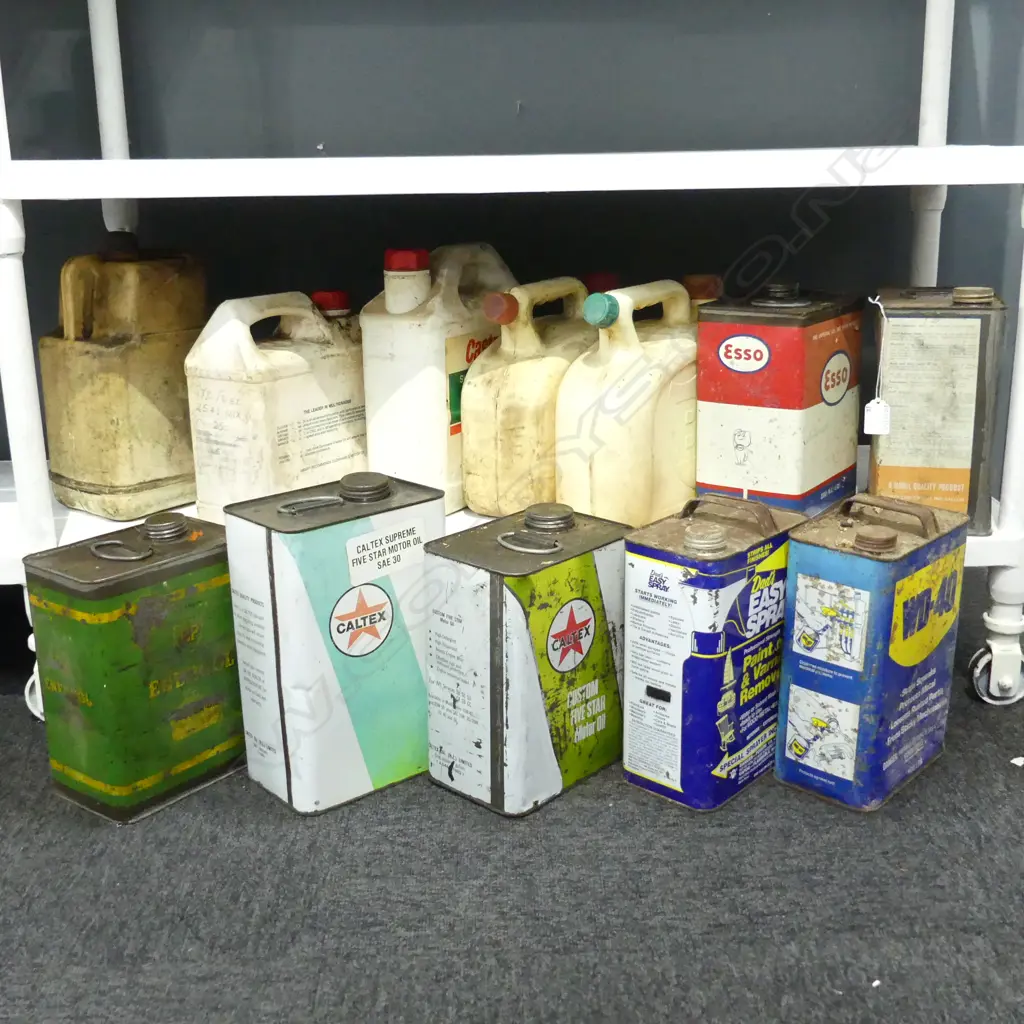12 ASST. PETROL CANS Image 1++