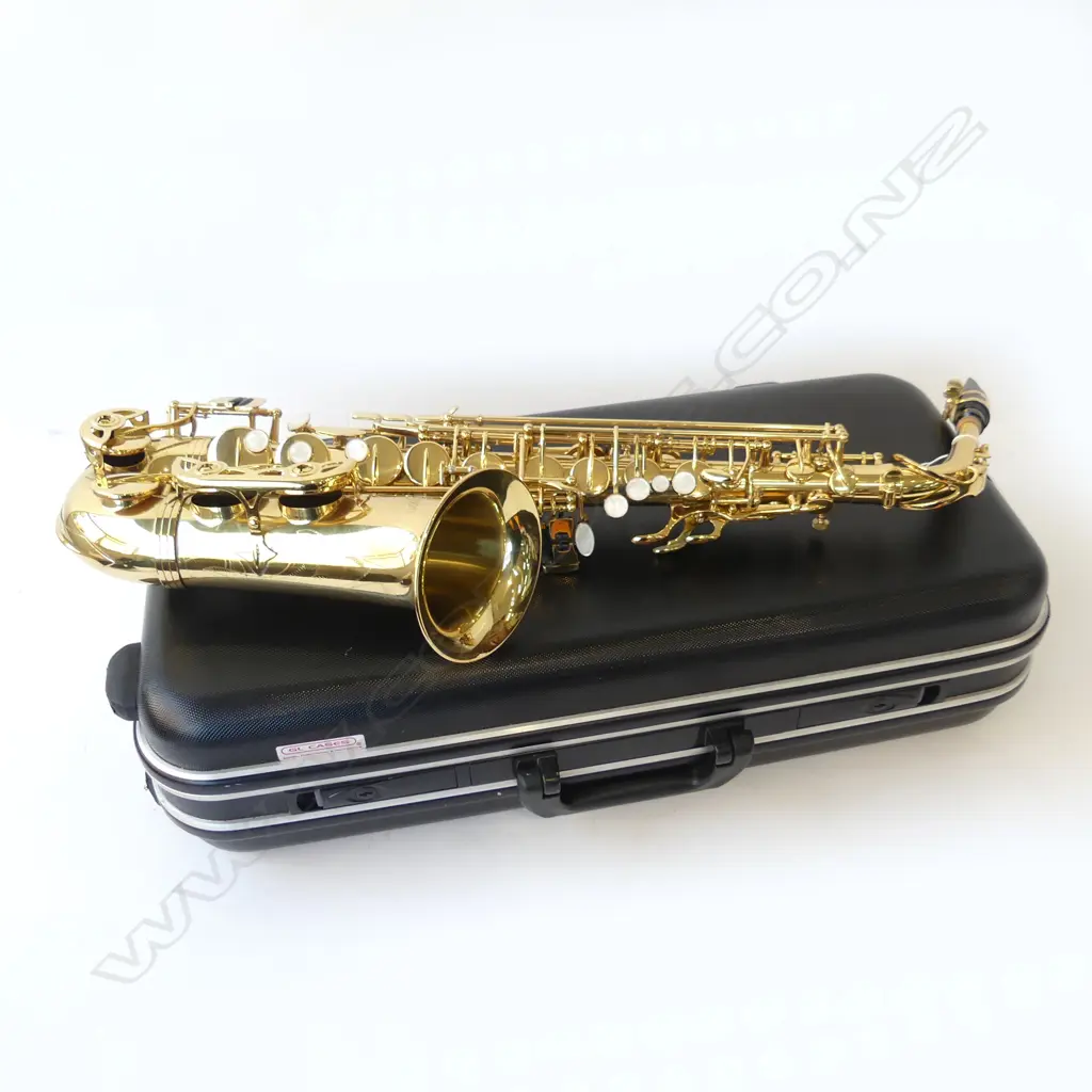 ANTIGUA ALTO SAXOPHONE, CASED Image 1++