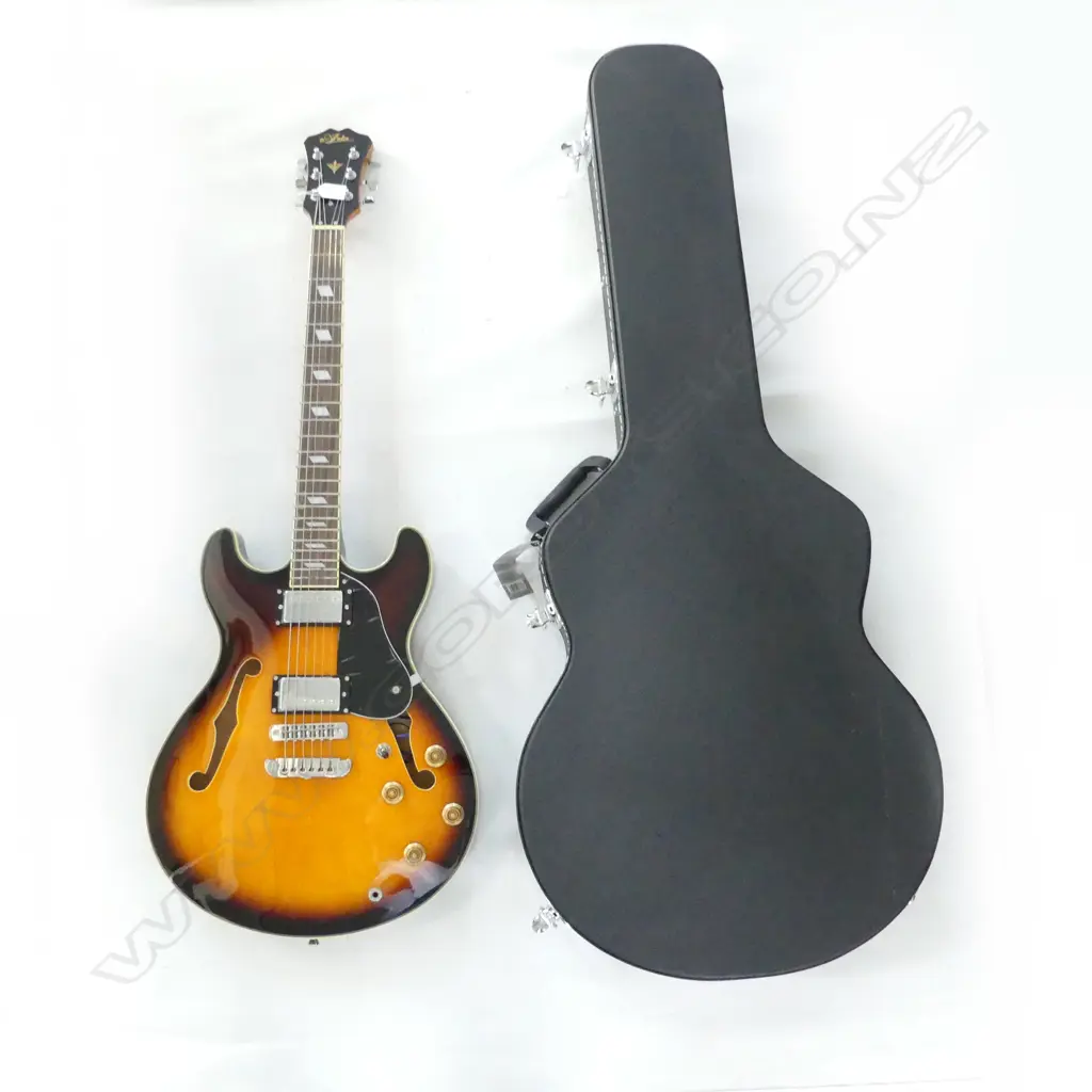 ARIA 335 STYLE SUNBURST ELECTRIC GUITAR WITH HARD CASE Image 1++