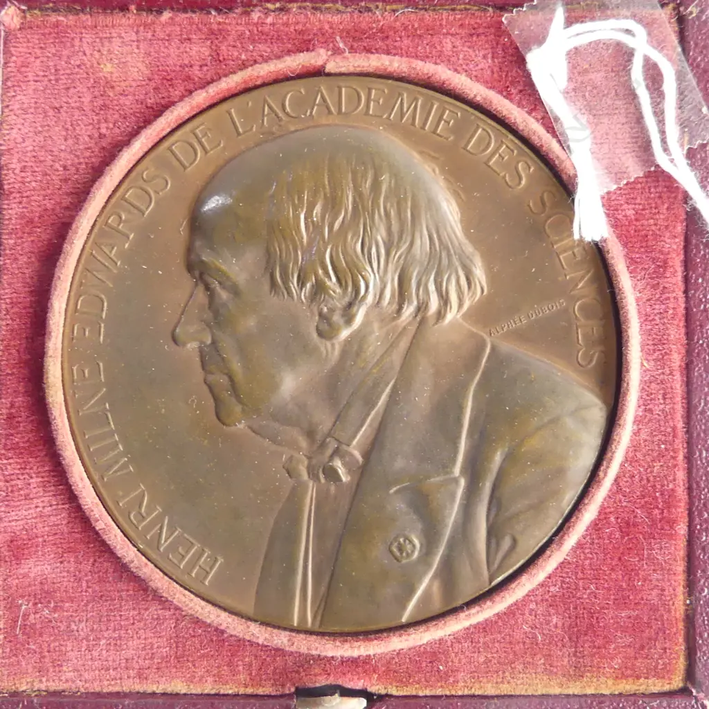 CASED BRONZE SCIENCE MEDAL 1880 DIA90MM Image 1++