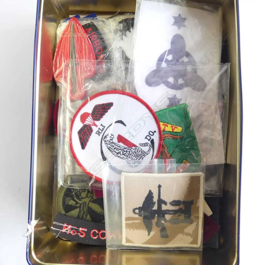 TIN OF REDGEMENTAL BADGES  Image 1++