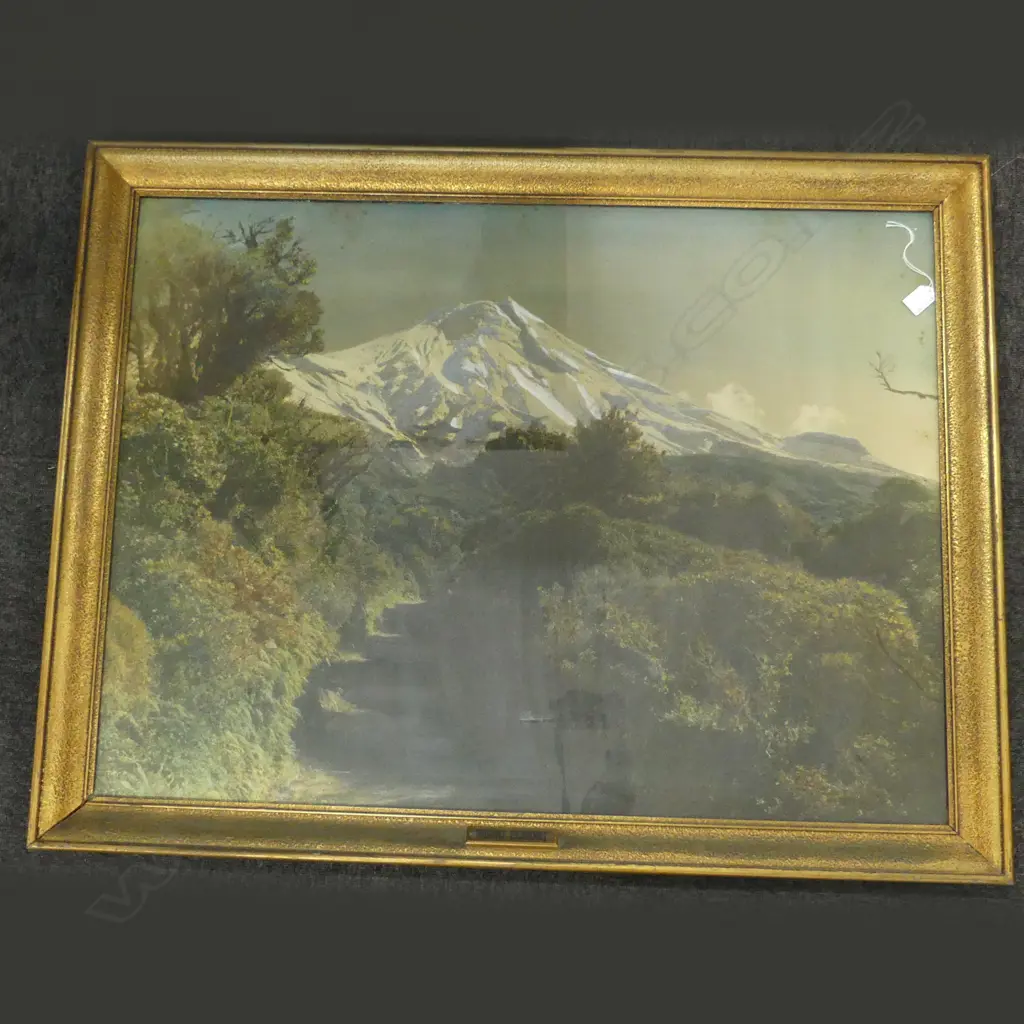 LARGE VINTAGE PHOTOGRAPH MT EGMONT H820 W1160MM Image 1++
