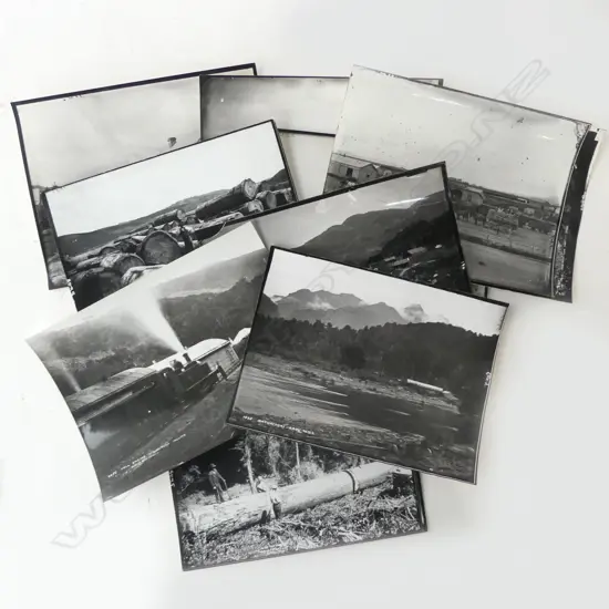 10 DOMINION MUSEUM PHOTOGRAPHS - NORTH ISLAND, BILL MAIN COLLECTION