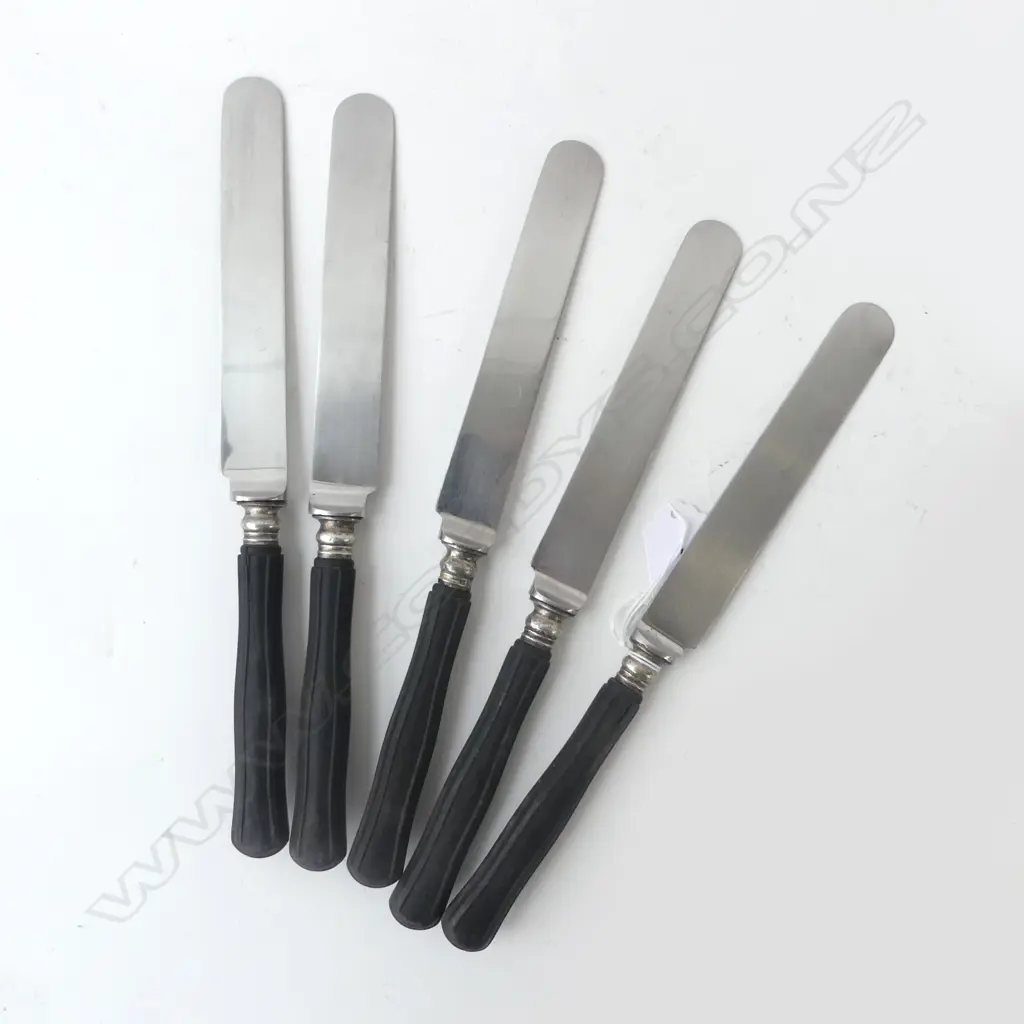 5 VINTAGE INOX KNIVES L.255mm Image 1++
