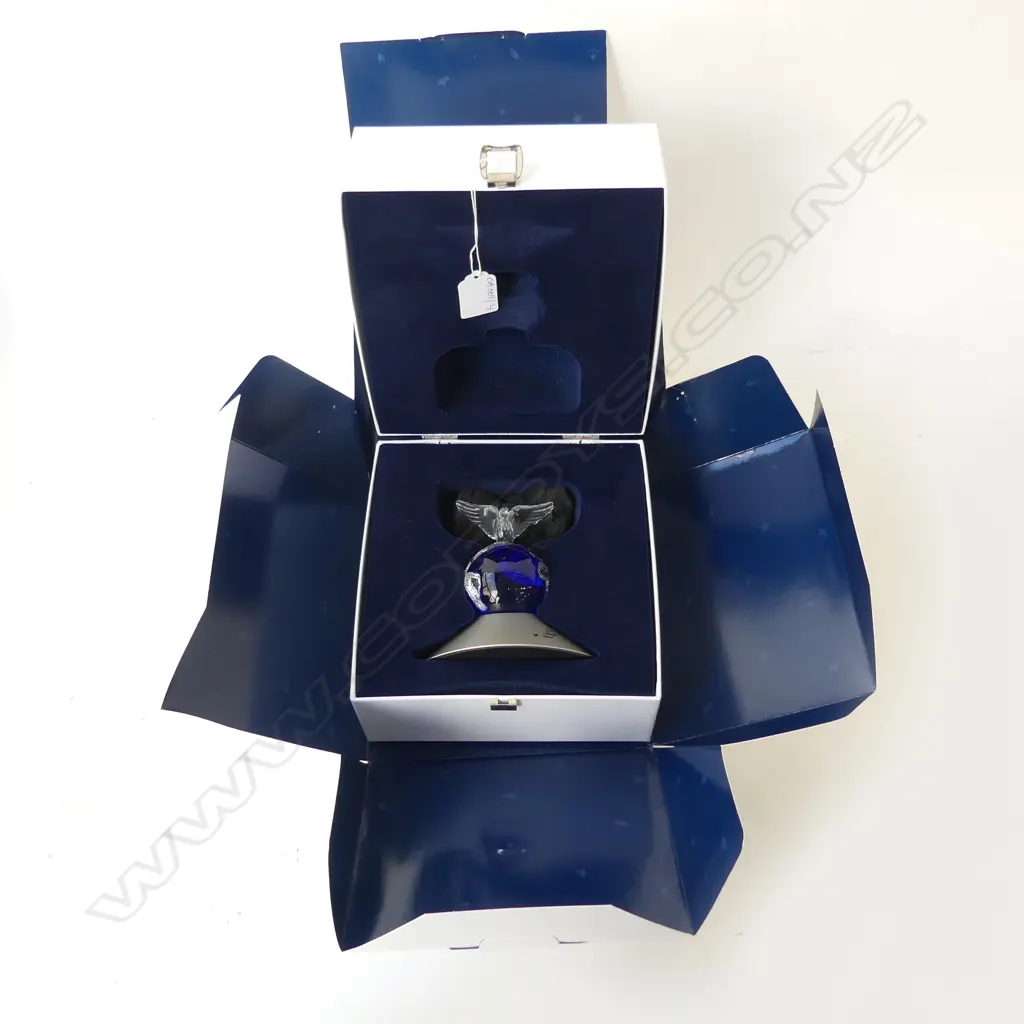 SWAROVSKI 'CRYSTAL PLANET VISION 2000' CASE & BOX H.120mm Image 1++