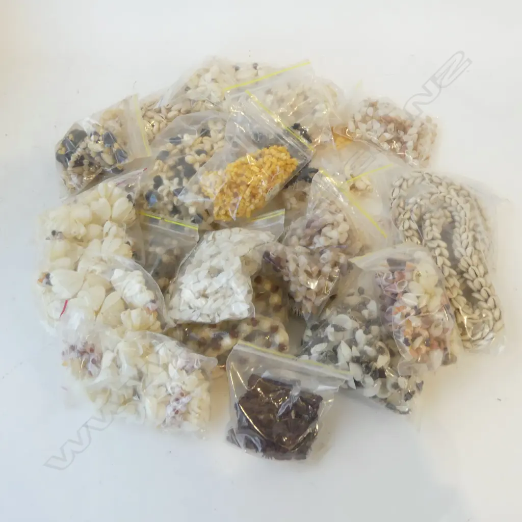 PACIFIC SHELL LEI Image 1++