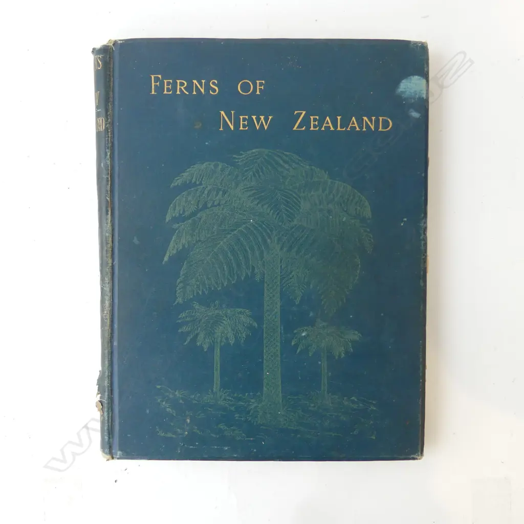1890 NZ FERNS BOOK Image 1++