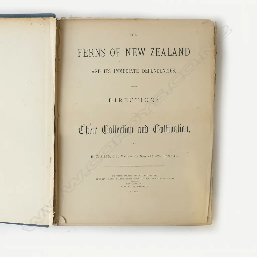1890 NZ FERNS BOOK Image 1++