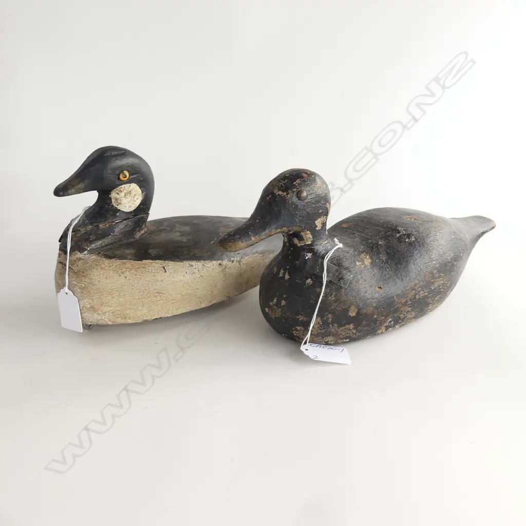 2 old CARVED WOOD DUCK DECOYS L.310 & 270mm Image 1++