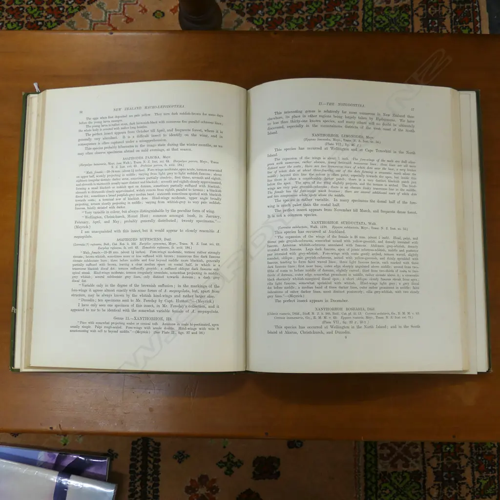 BOOK; G. V. HUDSON 'NZ MOTHS & BUTTERFLYS' LONDON 1898 w. 13 PLATES Image 1++