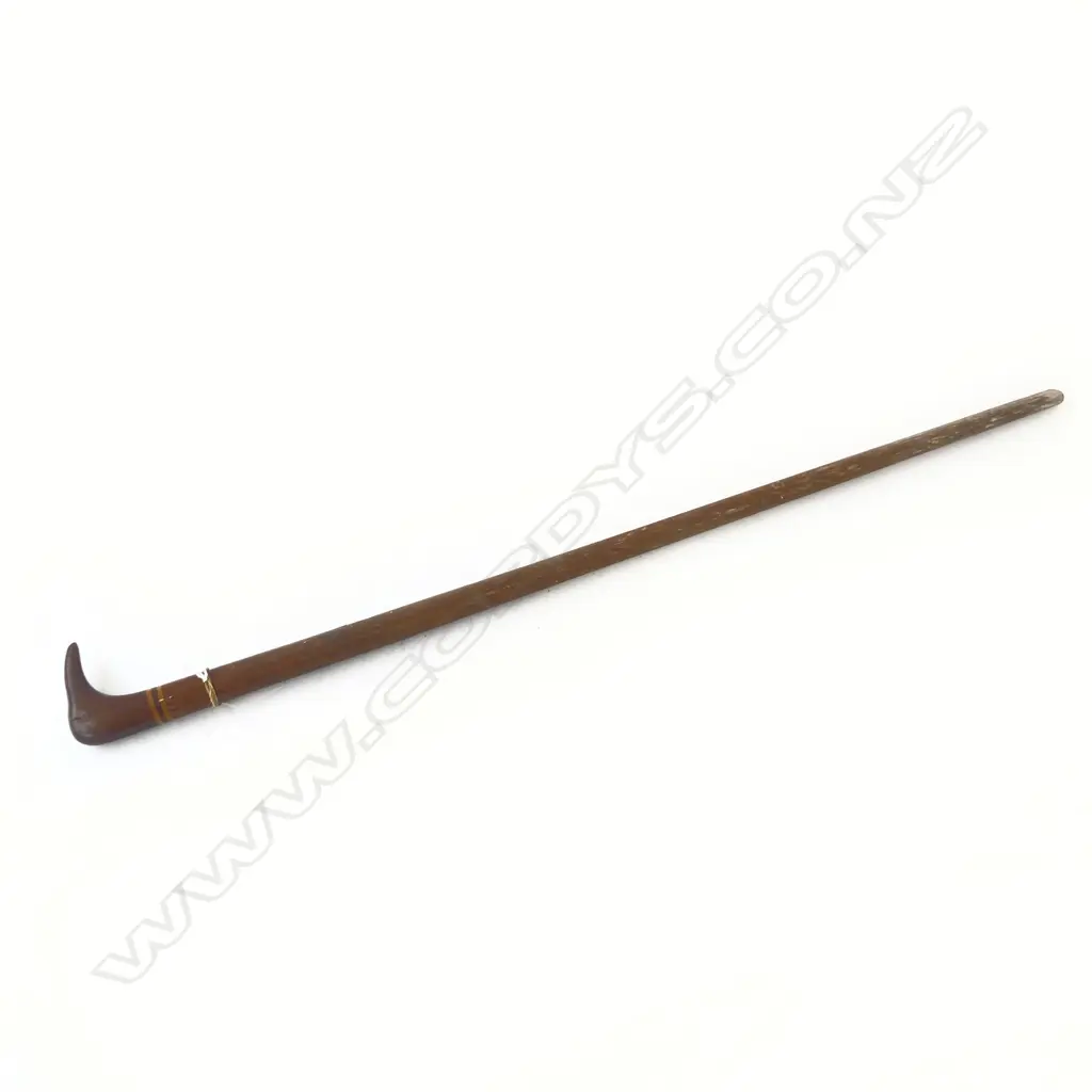 PITCAIRN ISLAND BIRD WALKING STICK Image 1++