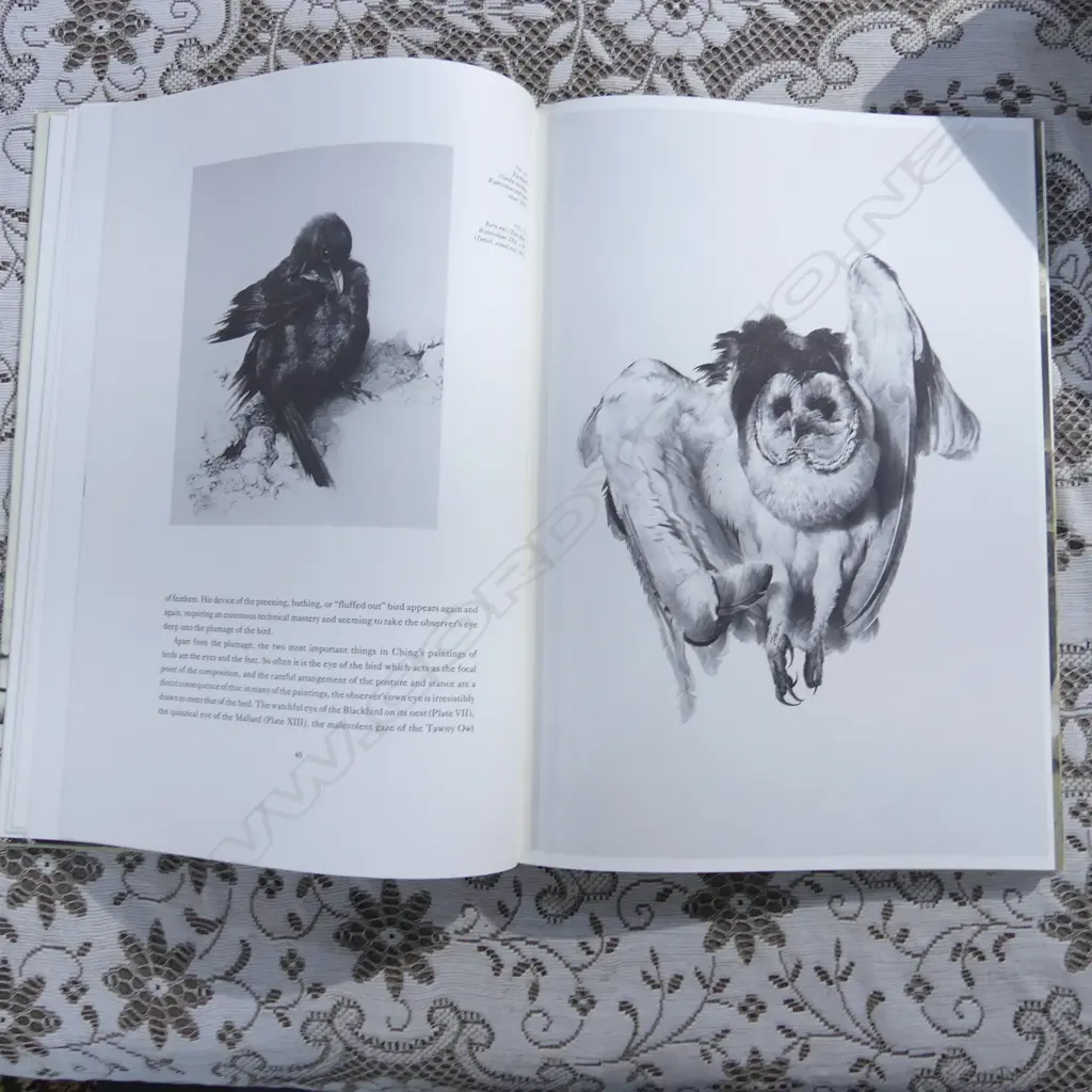CASED BOOK; RAYMOND CHING BIRD PAINTINGS Image 1++