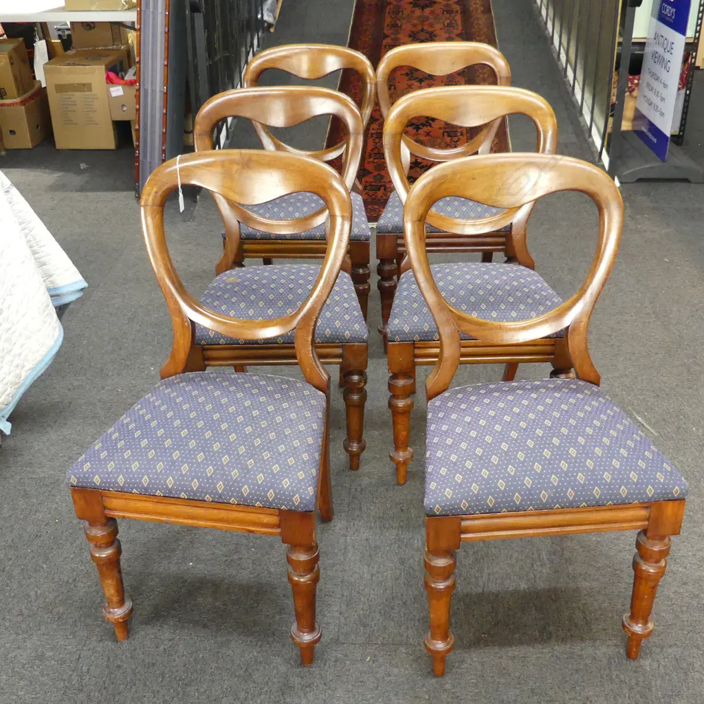6 BALLOON BACK DINING CHAIRS Image 1++