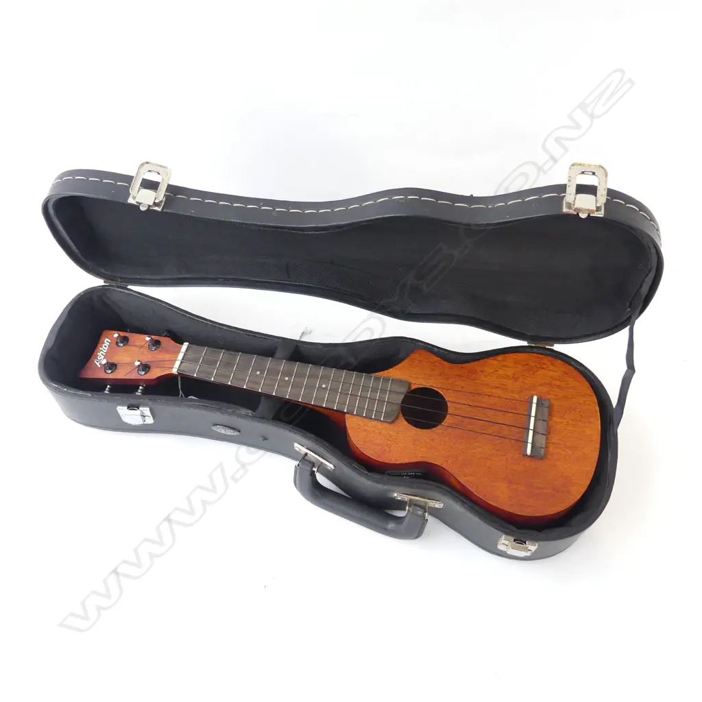 ASHTON ELECTRIC ACOUSTIC UKULELE IN CASE Image 1++