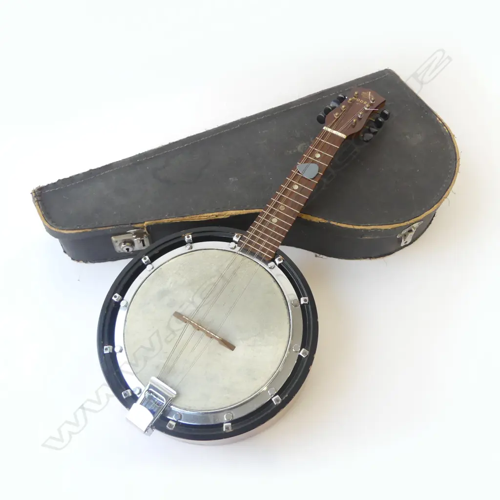 VINTAGE CASED SHORT NECKED BANJO MODEL 65 L600MM Image 1++