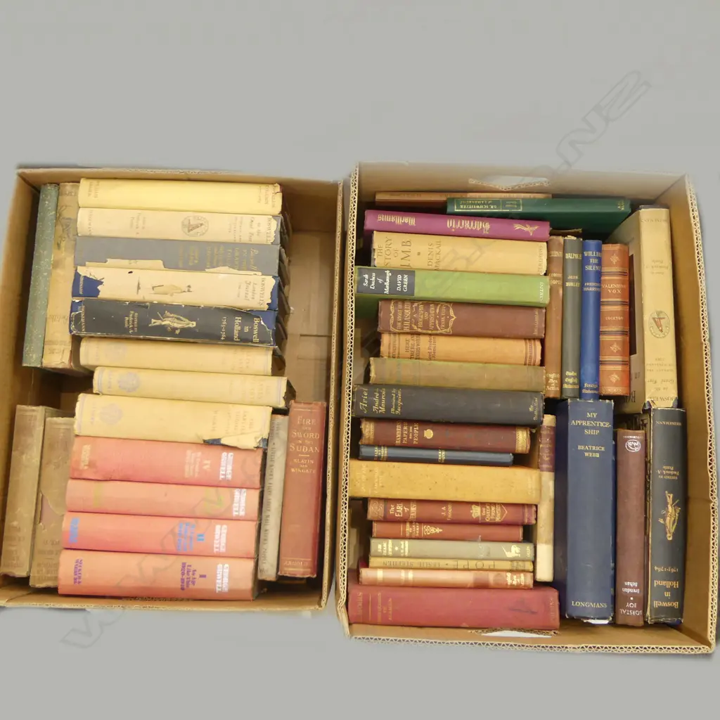 2 BOXES BIOGRAPHY BOOKS Image 1++