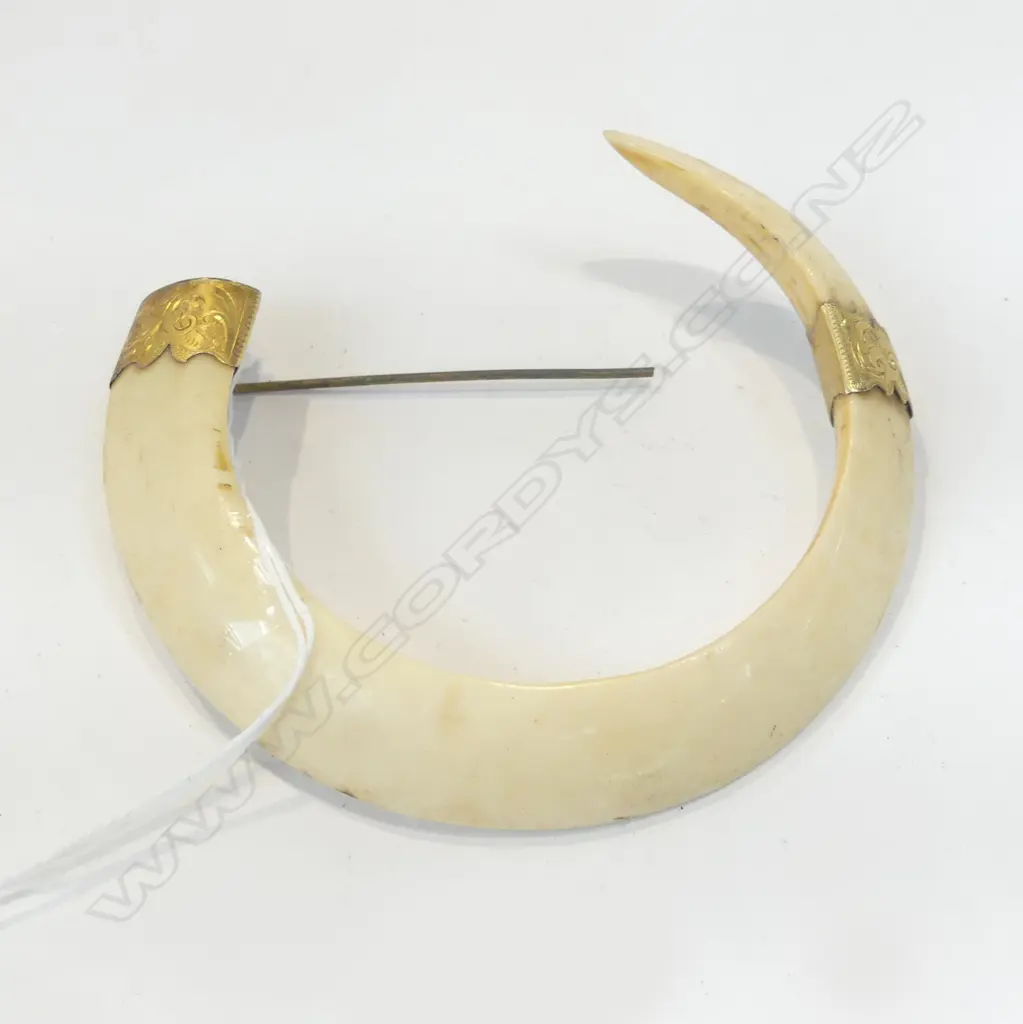 LG 9CT TUSK BROOCH W.100mm Image 1++