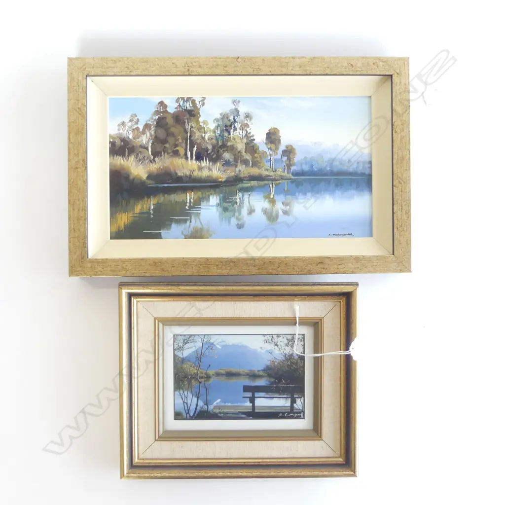 C. PICKWORTH 'LAKE BRUNNER' OIL ON BOARD 155x290mm + SIMON MYERS, GLENORCHY WALKWAY, SIGNED PHOTO PRINT Image 1++