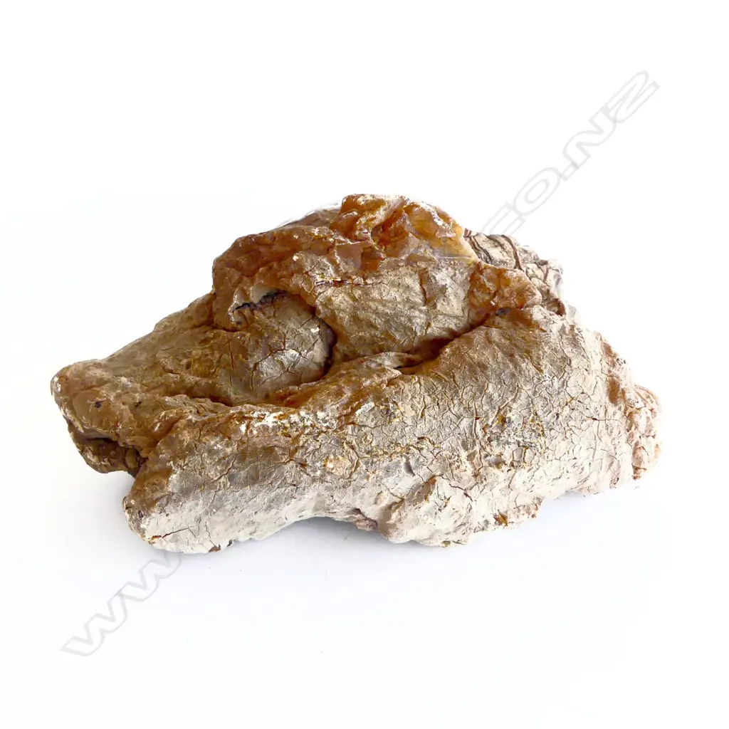 UNPOLISHED KAURI GUM NUGGET L190 H90MM Image 1++