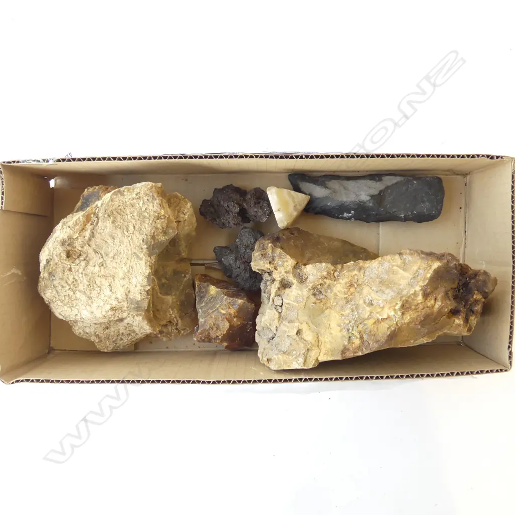 SMALL BOX 3 KAURI GUM NUGGETS & OTHER STONE PCS  Image 1++