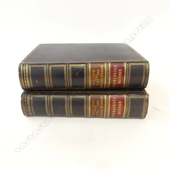 1854 2 VOLUME ENGLISH ENCYCLOPEDIA QUALITY LEATHER BOUND