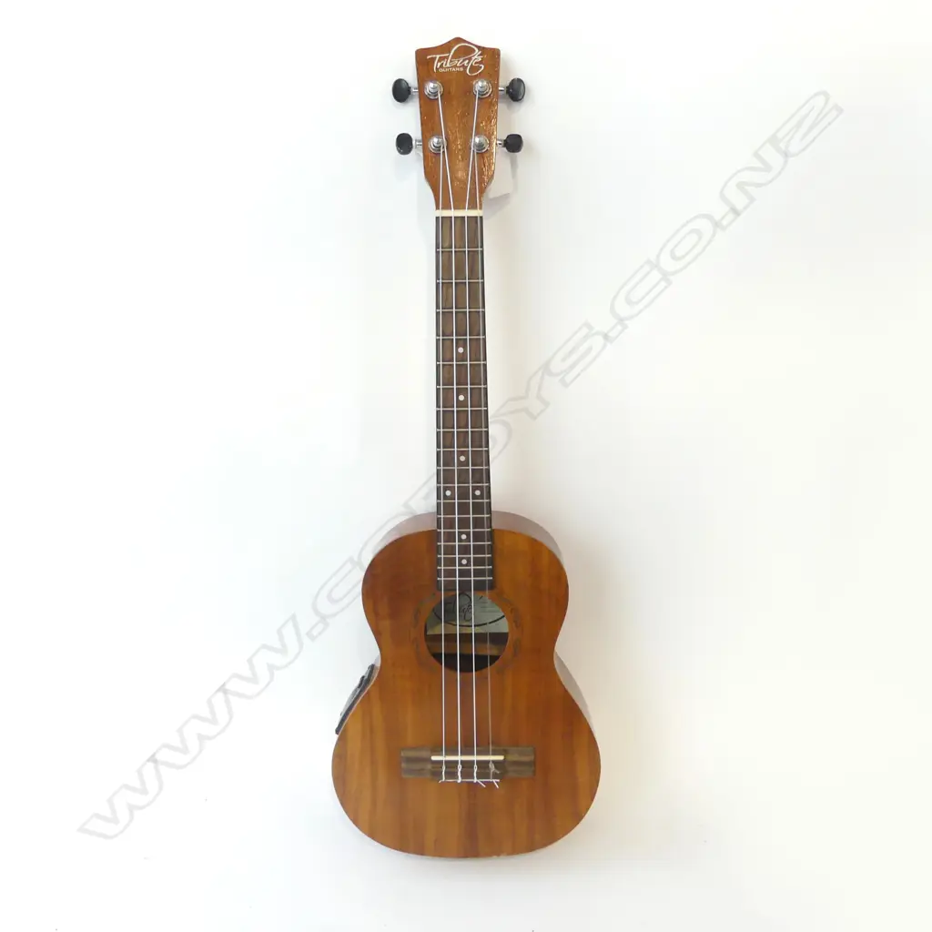 ELECTRIC ACOUSTIC UKULELE BY TRIBUTE H.660mm Image 1++