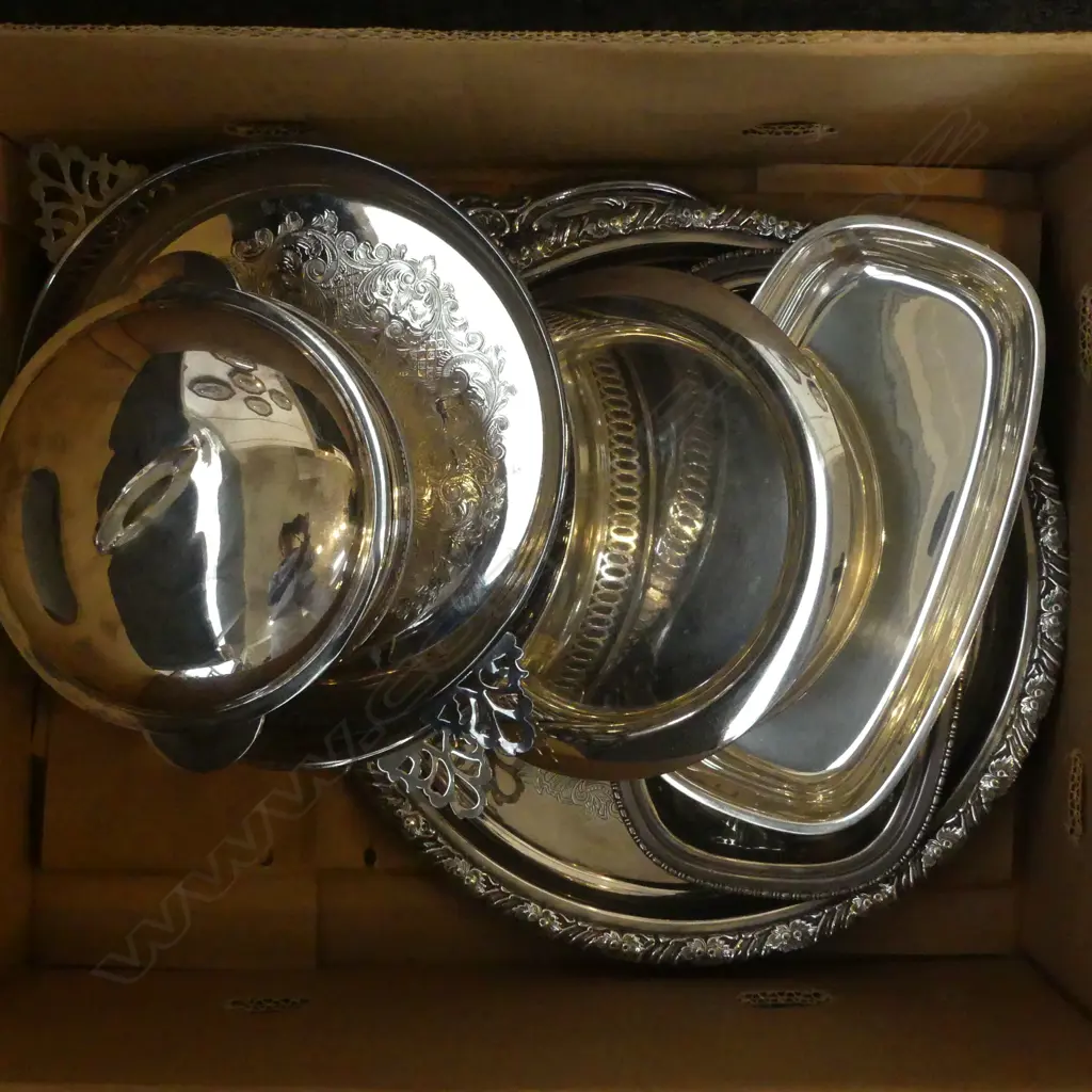 BOX LOT EP TRAYS & DISHES Image 1++