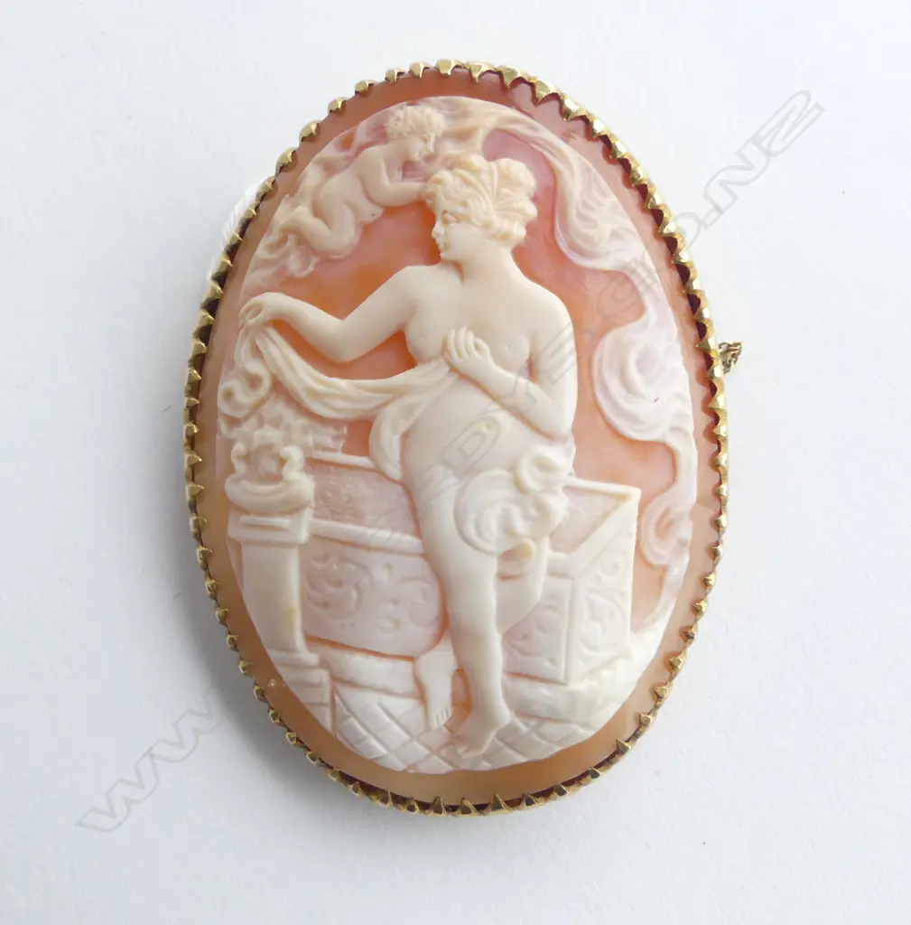 LG 9CT CAMEO BROOCH 60x45mm 25.5gms w. VALUATION Image 1++