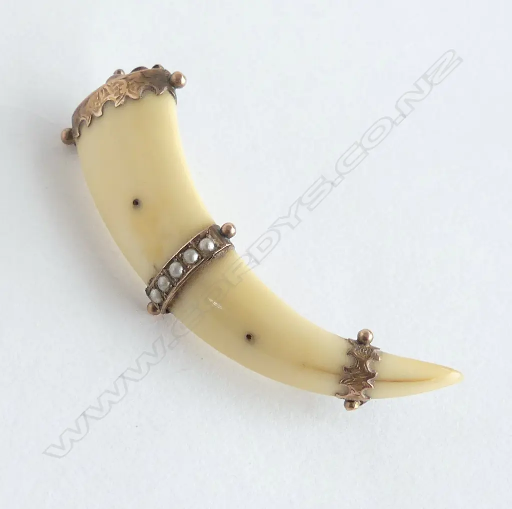 9ct TUSK BROOCH W.60mm no pin Image 1++