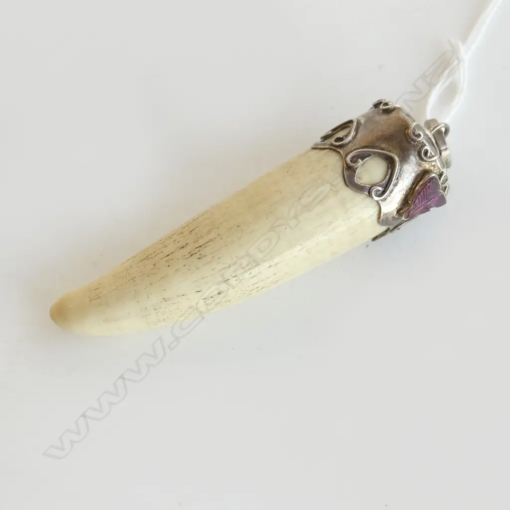WHALES TOOTH PENDANT w. SILVER & PINK TOURMALINE MOUNT L.90mm Image 1++