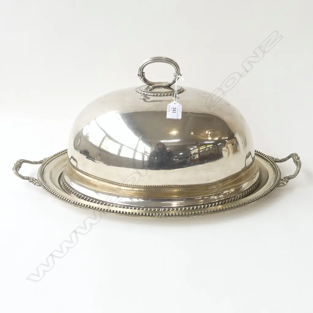 LG SILVER PLATE FOOD DOME & TRAY 535x345mm Image 1++