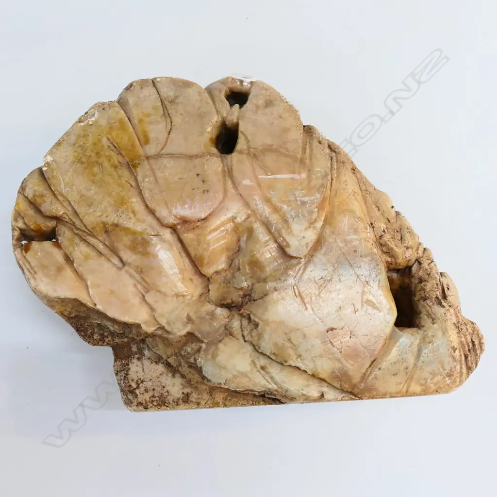 CHINESE SCHOLAR STONE 225x300mm Image 1++