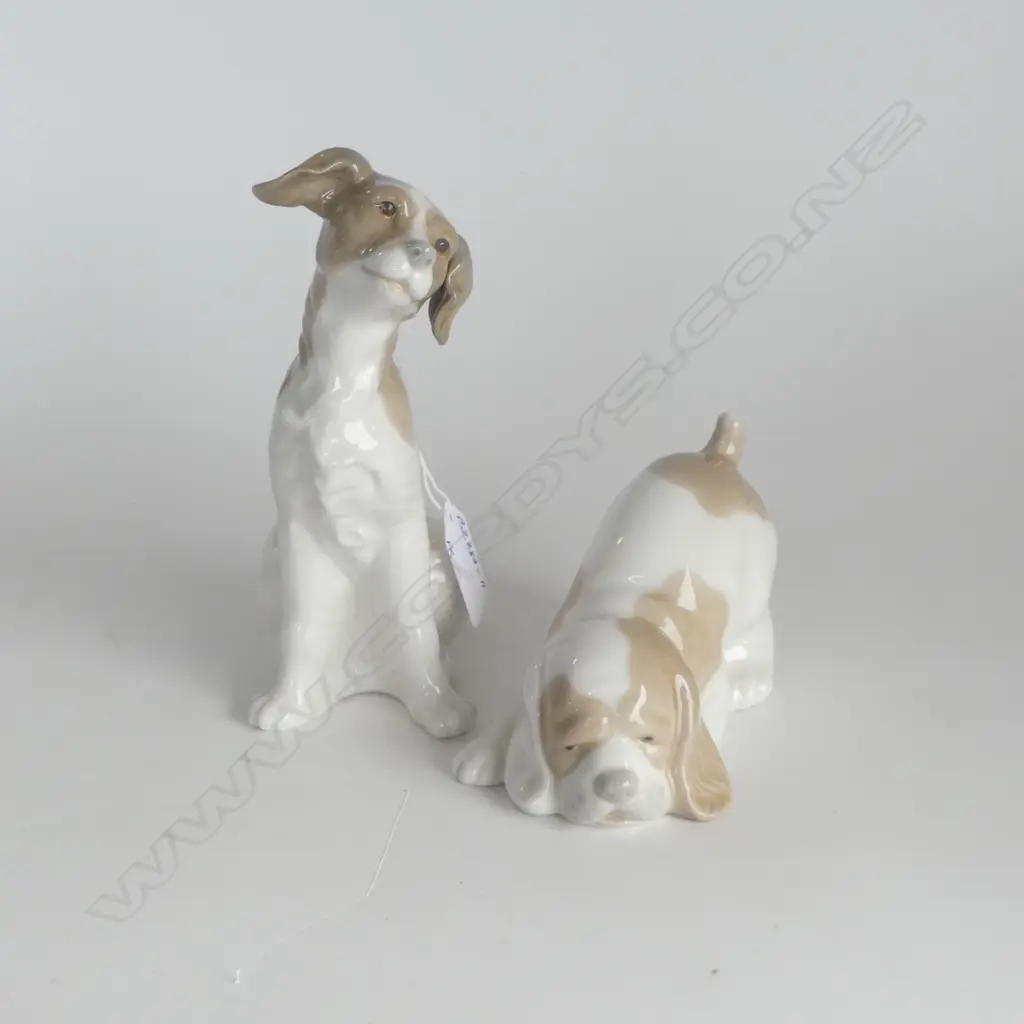 PR NAO by LLARDRO DOGS H.170mm tallest Image 1++