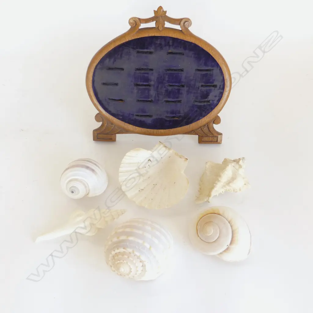 ANTIQUE RING DISPLAY H.195mm + 6 SHELLS Image 1++