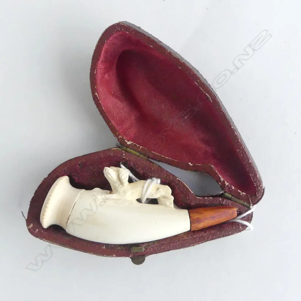 CASED MEERSCHUAM DOG CIGAR HOLDER LATER MOUTH PC L80MM Image 1++