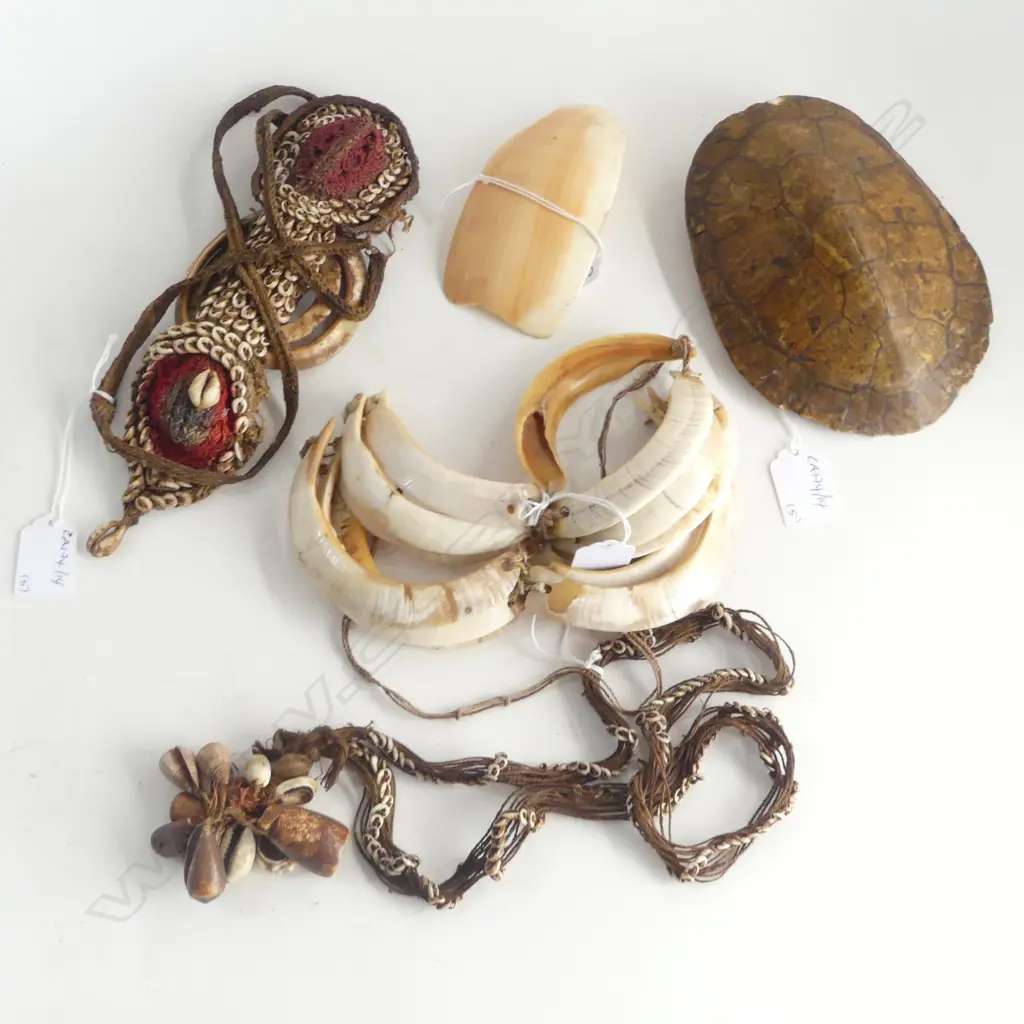ASST P.N.G SHELL ADORNMENTS WITH SMALL TURTLE SHELL L 160 MM Image 1++